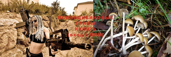 круглые Протвино