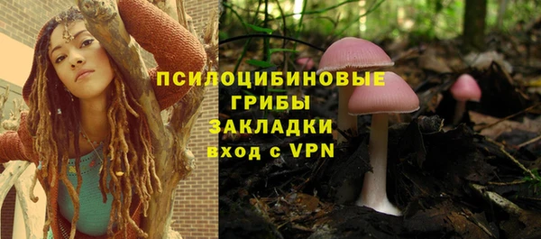 ECSTASY Пролетарск