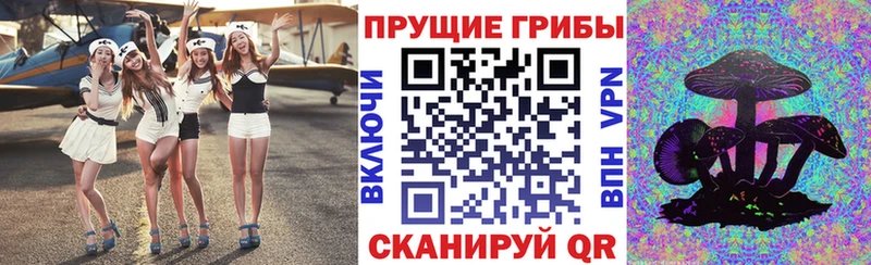 Купить закладки  Краснозаводск  Галлюциногенные грибы ЛСД 